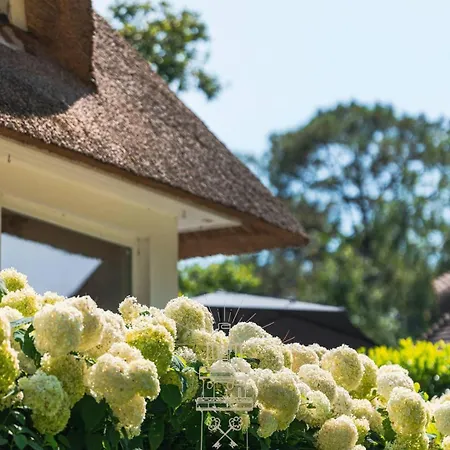 Вилла Villa, Age Quod Agis